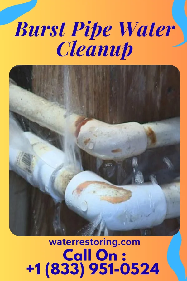 Burst Pipe Water Cleanup in Locust Grove, GA